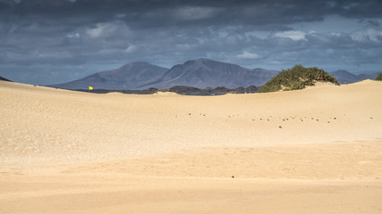 Piasek na plaży Corralejo na fuertaventura