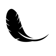 Feather, vector, icon, bird, illustration, sign, symbol, fluff, logo, mark,