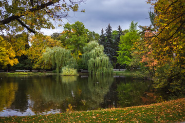 Złota jesień nad wodą © af-mar