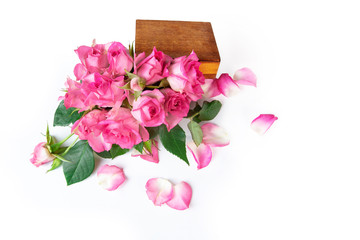 Fresh pink roses in a wooden box on a white isolated background. Copy space. Design element.