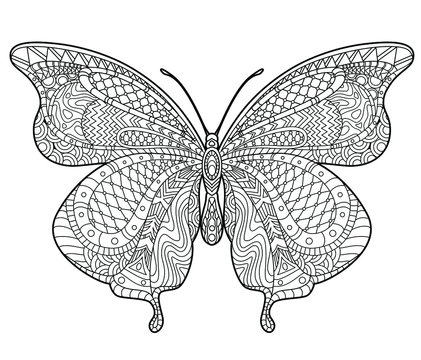 Butterfly coloring page for children and adults. Beautiful drawings with patterns and small details. Hand drawing vector illustration in black outline on a white background