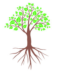 Fototapeta premium Vector illustrations of spring tree with leaves