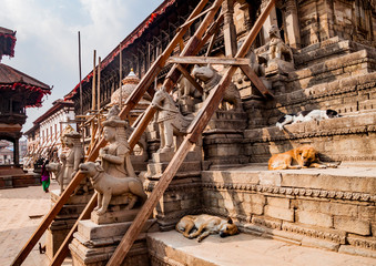 Dogs sleep on the temple steps near dog statue Durbar Square, a UNESCO World Heritage Site, damaged after the major earthquake on 2015 in Kathmandu, Nepal