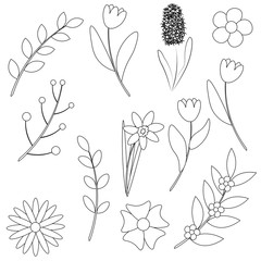 Set of spring easter contour flowers and twigs isolated on white background. Stock vector illustration for decoration and design, children's books and coloring, stickers, fabrics, packaging, cards