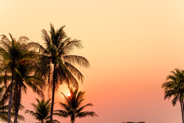 Obraz na płótnie Canvas beautiful coconut palm tree with sunset