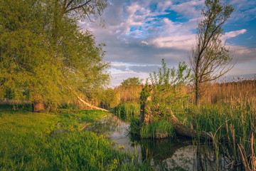Fototapeta premium Sunrise on river