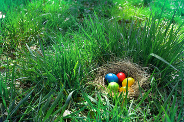 Easter eggs in a meadow
