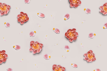 Pattern of flowers and petals of a tulip on the beige background.