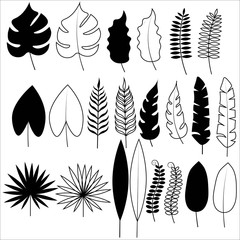 Set of contour tropical leaves in black color isolated on a white background. Stock vector illustration for decoration and design, cards and posters, web pages and more.