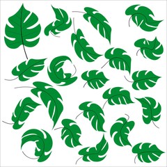 Set of tropical leaf monstera in flat style isolated on white background. Stock vector illustration for decoration and design, postcards, posters, banners, fabrics, packaging, web pages and more
