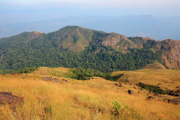 The meadow on the mountain in the evening there is sunshine.