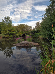 Fototapeta premium Gapstow Bridge in Central Park