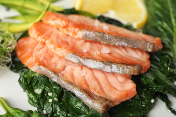 Tasty freshly cooked salmon with spinach, closeup