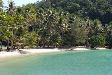 Tropical island beach with coconut palm trees. Sand spit in the sea.