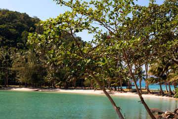 Tropical island beach with coconut palm trees. Sand spit in the sea.