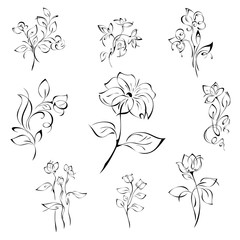 flowers 64. SET. stylized flowers on stems with leaves in black lines on white background. SET