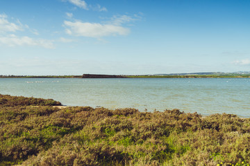 Salt lake Larnaca Cyprus