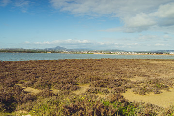 Salt lake Larnaca Cyprus