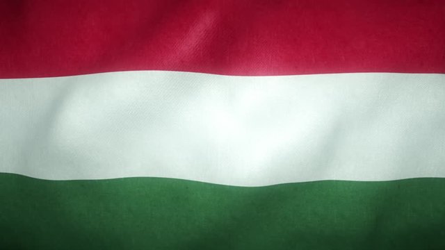 flag of Hungary waving in the wind