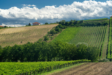 Fototapeta na wymiar Rural landscape near Chieti, Italy