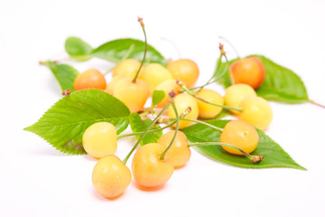 Fresh yellow cherries on the table