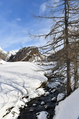 The small village of Crampiolo in the Devero valley.