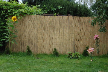 NATURA © mpgraphics