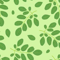 Branches with green leaves seamless pattern. Botanical, floral background. Moringa plant leaf vector illustration in cartoon flat style.