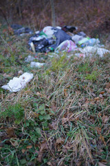 Garbage dump in the autumn forest. Ecological disaster, irresponsibility and negligence of man. Plastic and bags closeup