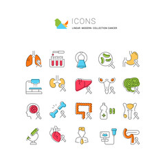 Set Vector Flat Line Icons Cancer