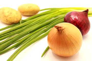 Potatoes, green onion feathers, black and purple onions and yellow onions isolated on white background