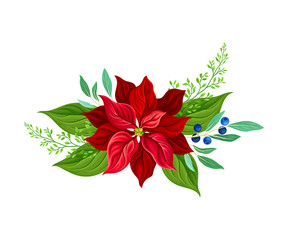 Holiday Floral Composition Arranged From Red Christmas Flower and Blueberry Twig Vector Illustration