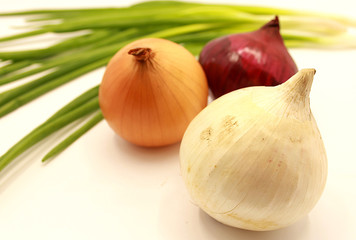 Green onion feathers, black and purple onions, yellow onions and white onions isolated on white background