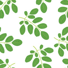 Fototapeta na wymiar Moringa green leaves seamless pattern. Vector illustration of moringa oleifera branch Isolated on white background. Superfood icon in cartoon flat style.