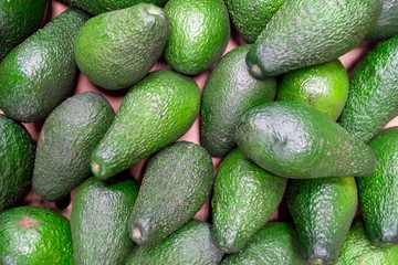 Background from green avocados. Avocado close up. Ripe avocados on the counter.