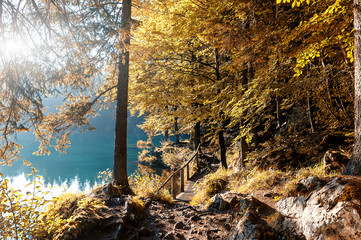 Obrazy na Szkle  Niesamowity słoneczny krajobraz w lesie. Cudowna jesienna sceneria. Malowniczy widok na dzikie jezioro przyrody. Promienie słońca przez kolorowe drzewa. Niesamowity widok na jezioro Fusine. Niesamowite naturalne tło