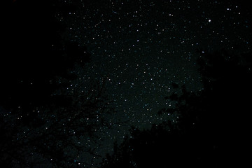 stars in space, sometimes just look up