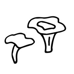 Set of doodle mushrooms. Mushroom hand drawn sketch vector illustration.
