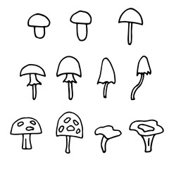 Set of doodle mushrooms. Mushroom hand drawn sketch vector illustration.