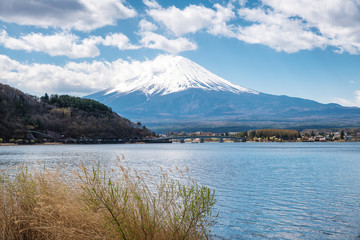 Mount Fuji with cherry blossom at Lake kawaguchiko in japan spring season