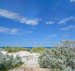Fototapeta na wymiar fremantle beach, western Australia, Perth, stunning view of the sea and seaside
