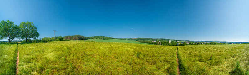 Panoramic view of golden wheat field by summertime