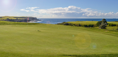 Naklejka premium gold field with ocean view in Sydney Australia
