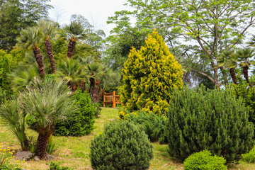 Beautiful view of Batumi botanical garden, Georgia