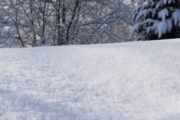 snow cover, snowdrifts in the forest