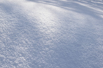 snow cover, snowdrifts in the forest