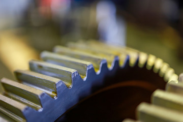 closeup gear spur teeth