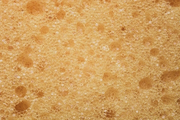 texture of yellow sponge macro