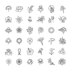 Obraz premium Set of floral icon in flat design