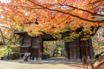 The gate of Hirosaki park with  Autumn maple leaves in foreground in the fall  at Hirosaki,Aomori prefecture ,Japan.